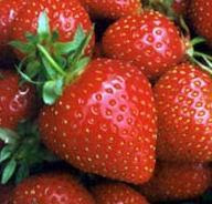 - Hoy, invito yo !: Propiedades de la Frutilla