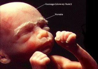 CHAiran KATA-KATA: Bagaimana Bentuk dan Terbentuknya........???