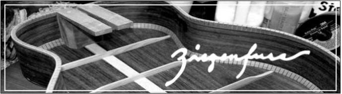 Ziegenfuss Guitars
