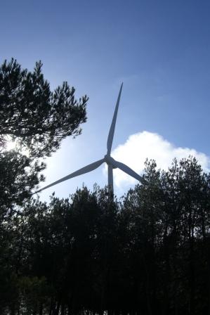 [Parque+eolico+serra+Candeeiros+(4).JPG]