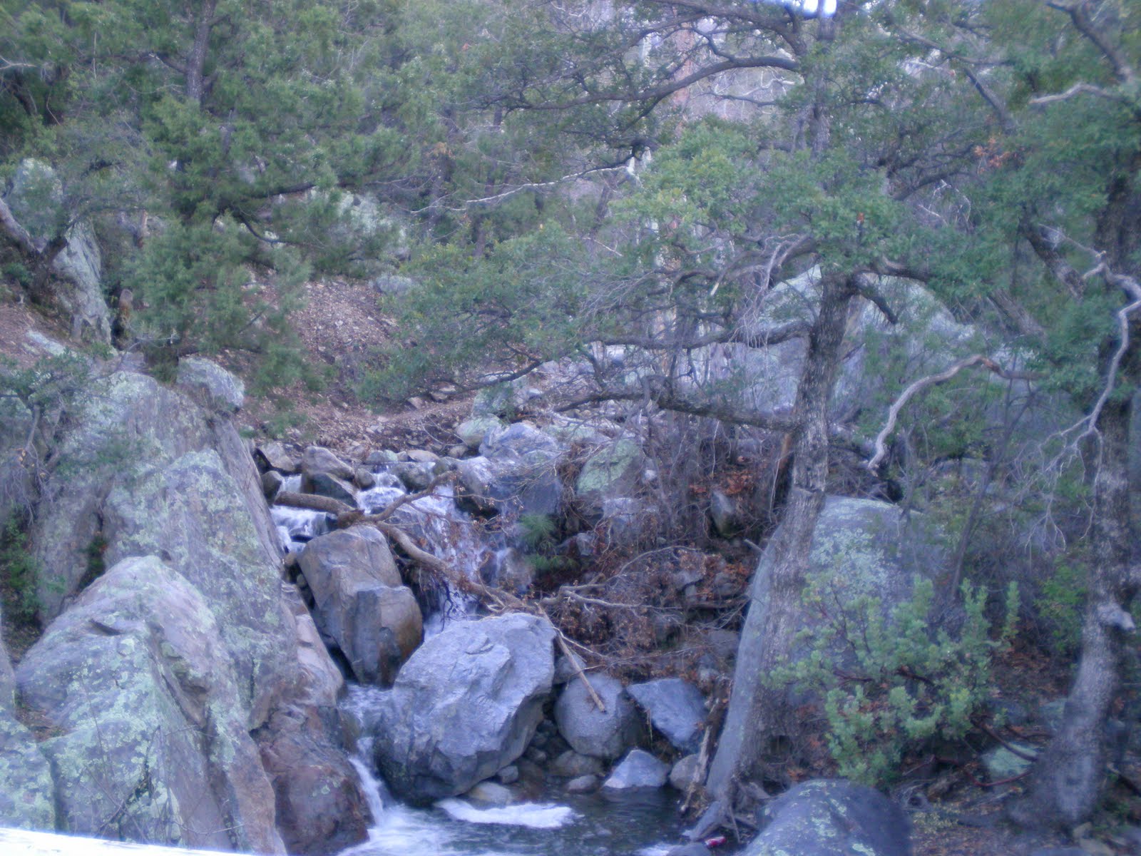 Red Rock Tales and Trails Camping at Pioneer Pass in the Pinal Mts