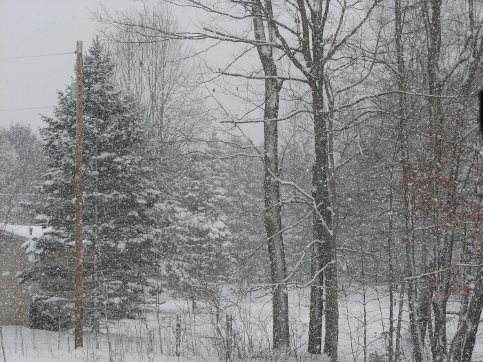 [Blog+January+22+Snow+B.jpg]