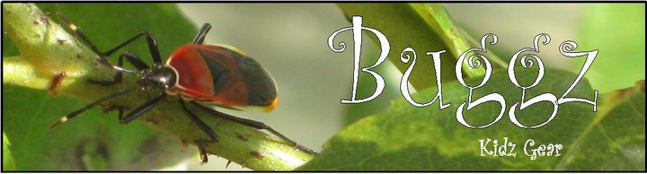 BuggzKidzGear