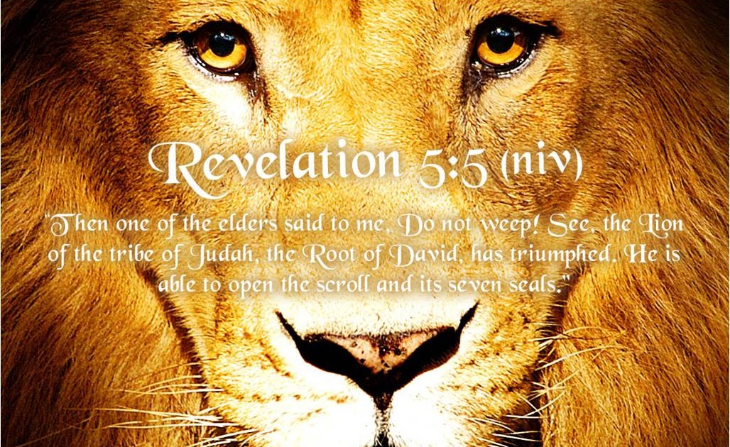 T-shirt Rev. 5:5 | Gospel Tees Wear - Gospel T-Shirts, Christian