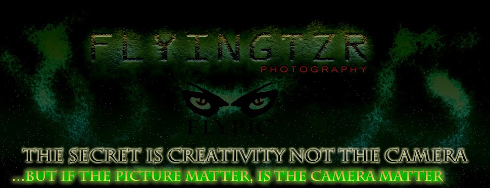 flyingtzr photography