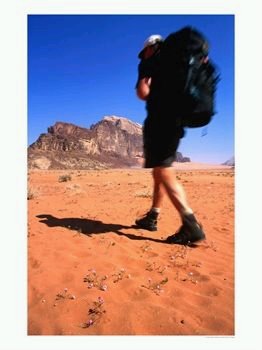 [DesertHiker1.bmp]