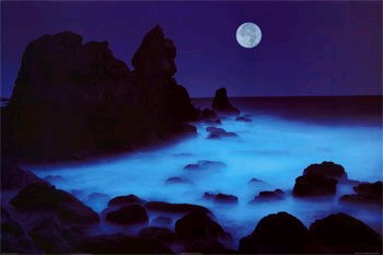 [CoastMoon1.bmp]