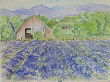 Sequim Lavender Festival