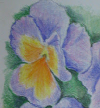 Pansy Closeup