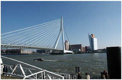 rotterdam bridge