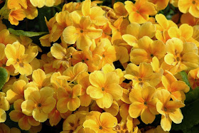 quotes about trusting god. quotes about trusting no one.