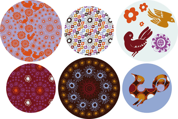 Colibri en Australie