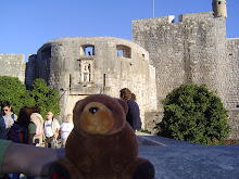 Teddy bear in Dubrovnik