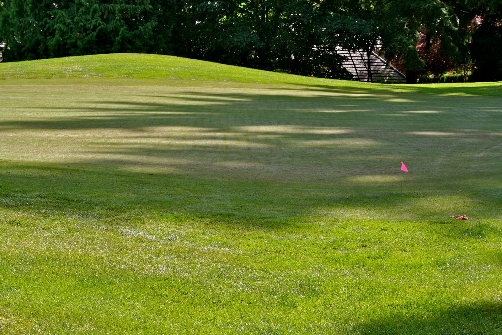 Swedish Medical Center Swedish Medical Center Mill Creek