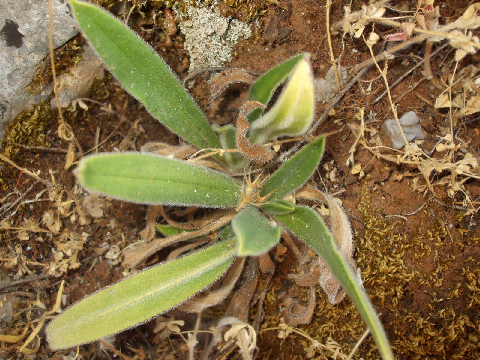[DSCF0702.JPG]