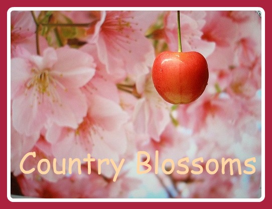 Country Blossoms