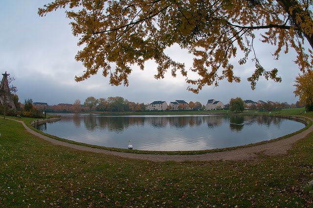 Evry Daily Photo - Le Parc du Lac de Courcouronnes - Le Roi du Parc - Le Cygne Blanc au fisheye