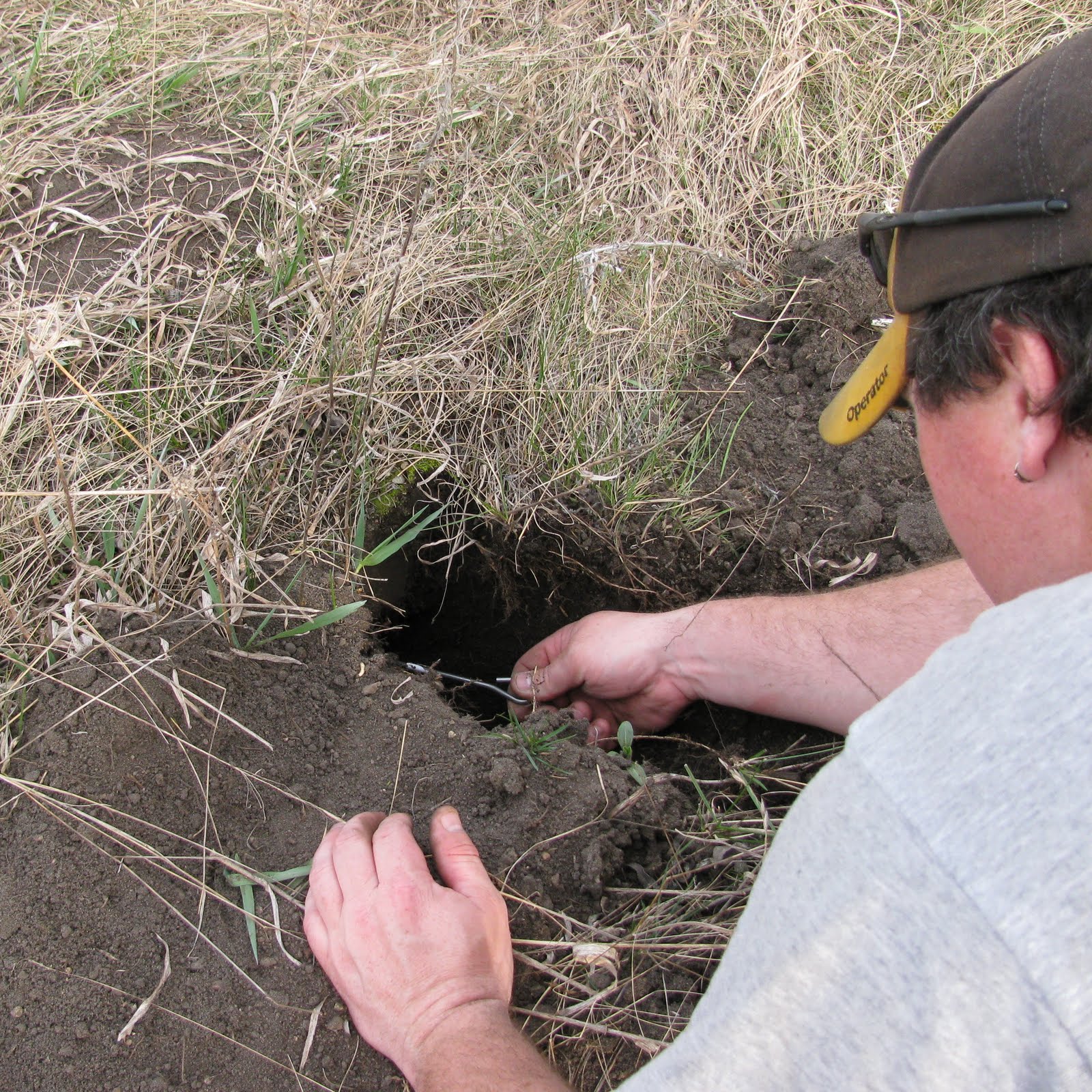 Far Side of Fifty Gopher Trapping