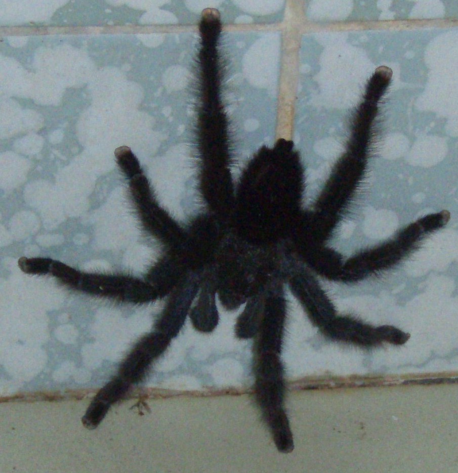 [P7120076.JPG]