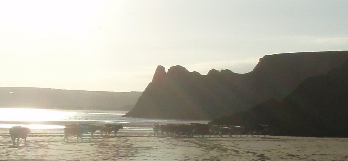 [P9250073.JPG]