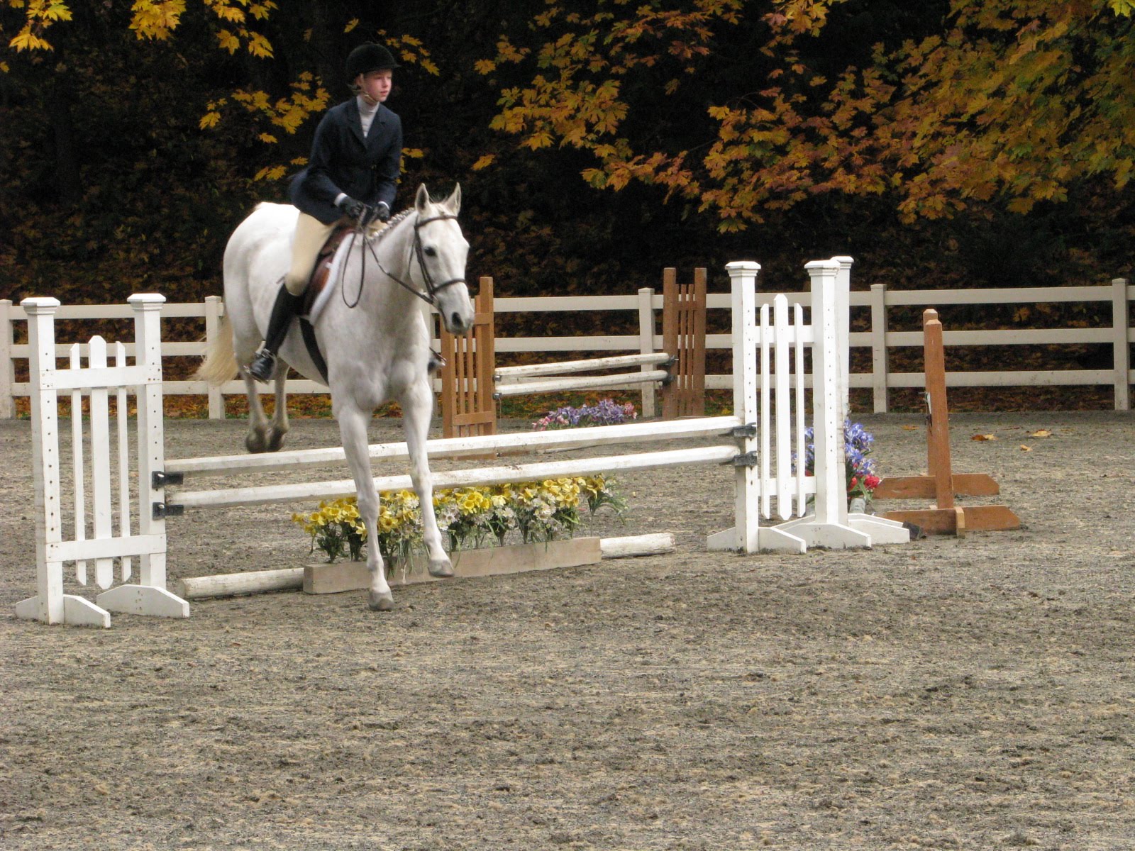 Fotofanatic: Hunter Jumper