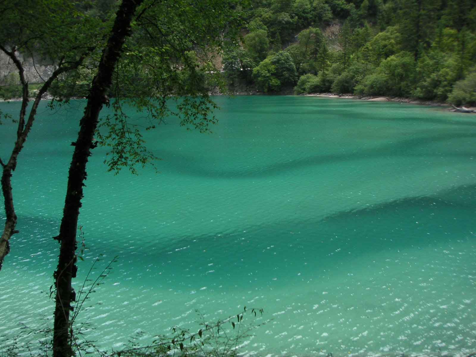 [jiuzhaigou+12.jpg]