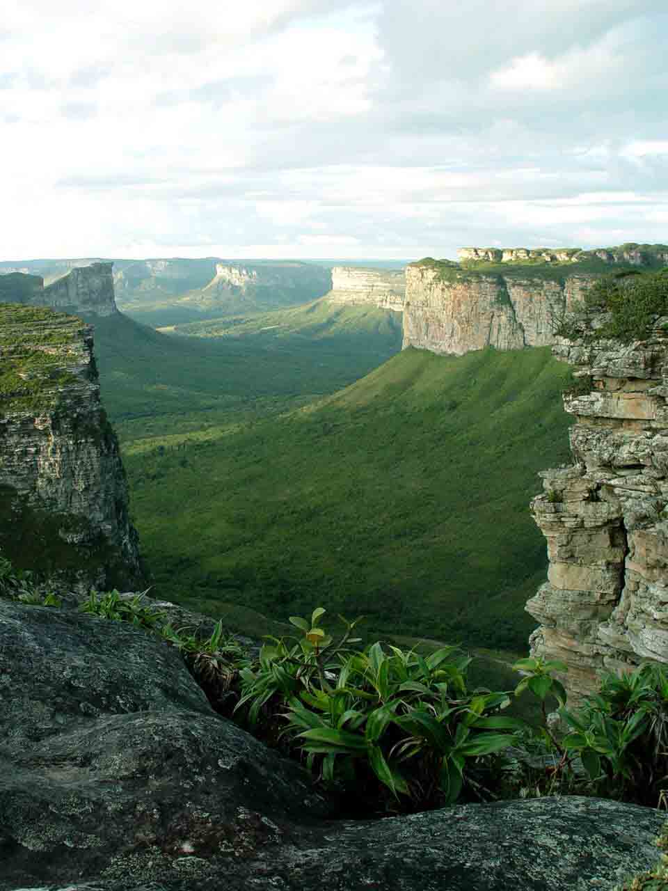 [Chapada+Diamantina+14.jpg]