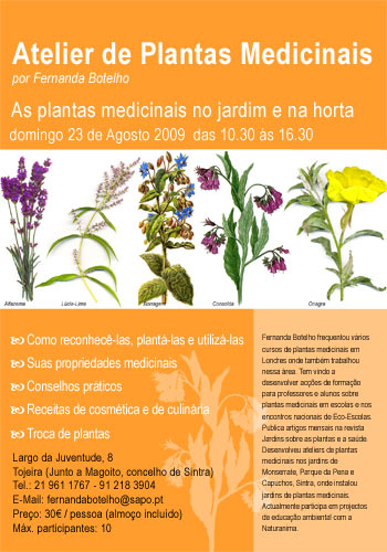 [AtelierPlantas-agosto-2009.jpg]