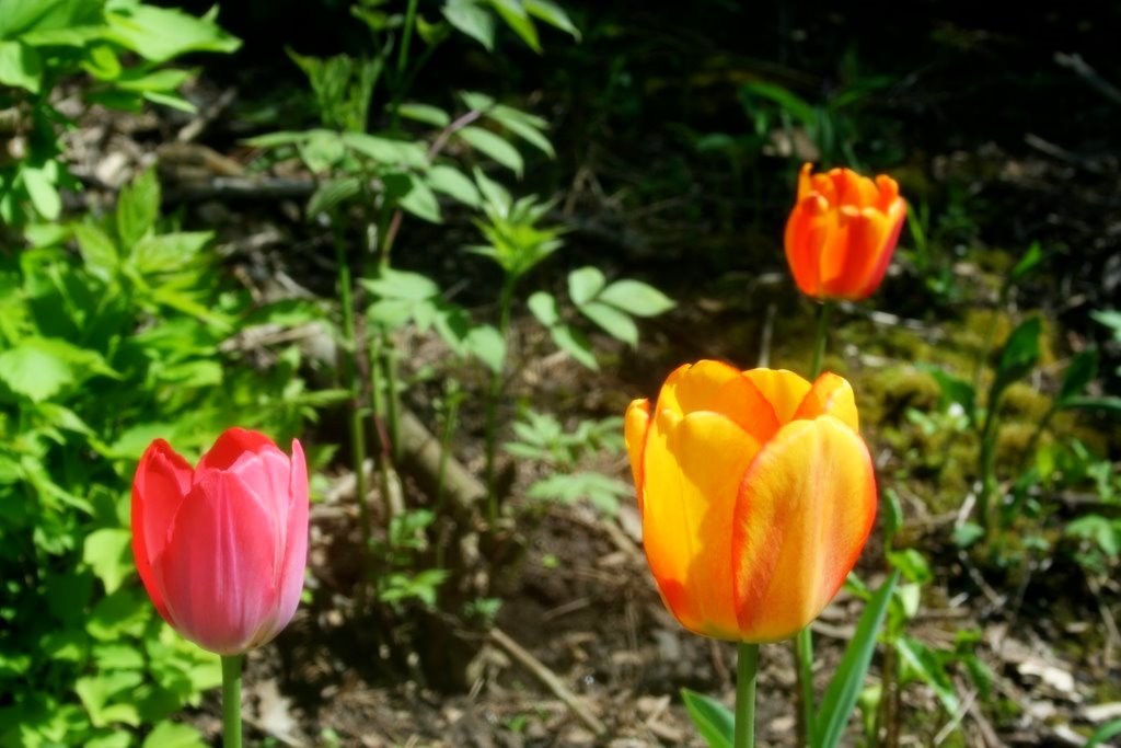 [IMG_2647.JPG]