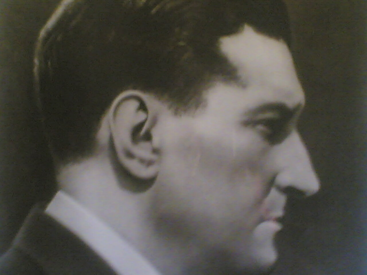 [Perfil.jpg]