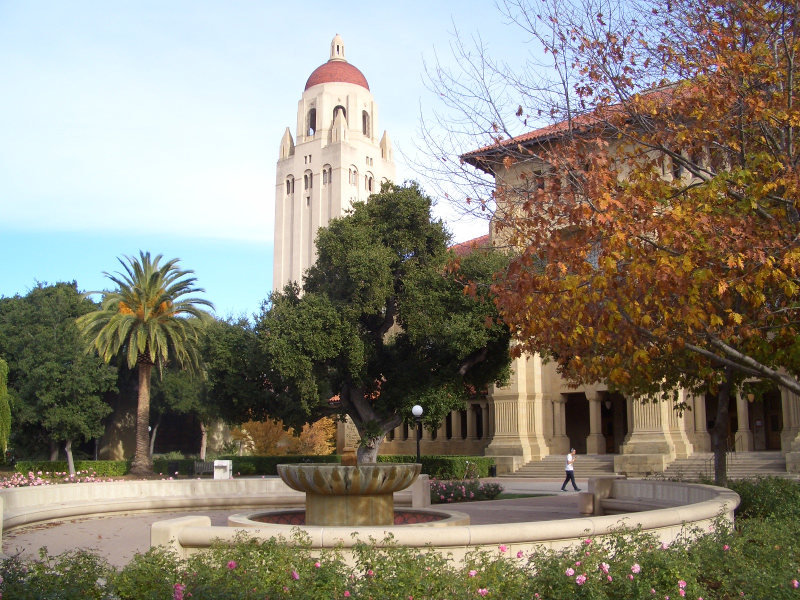 持続可能な発展＠地球 スタンフォード大学