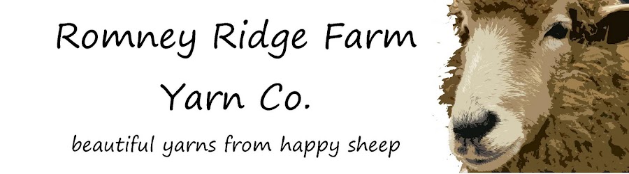 Romney Ridge Farm Journal