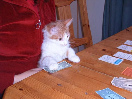 [monopolycat.jpg]