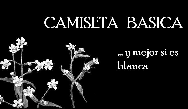 camiseta basica