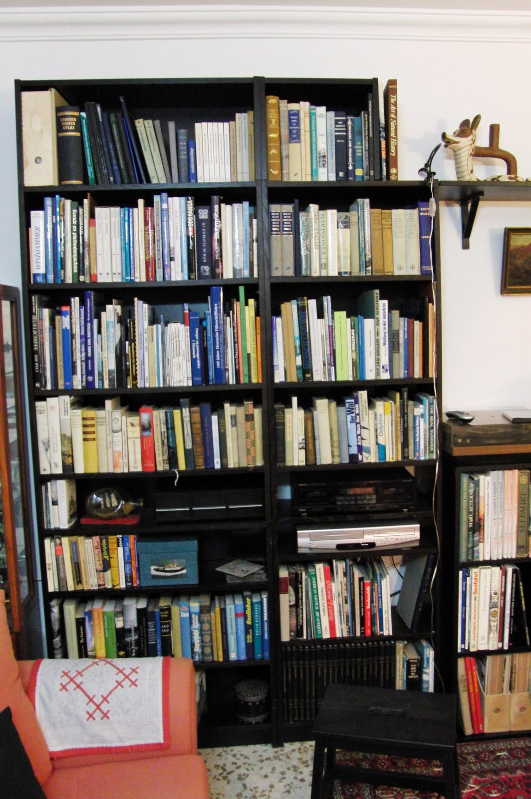 Susannes Sammelsurium: Januar 2011