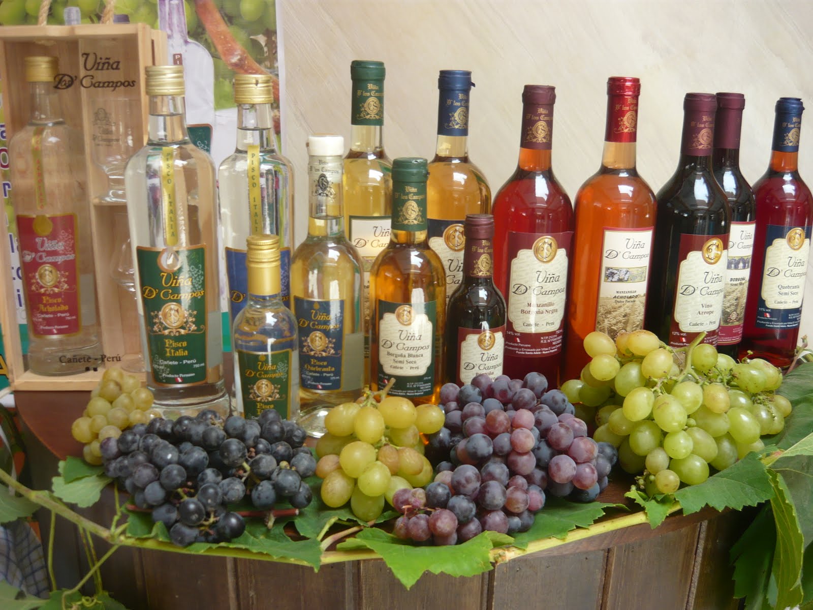 CAÑETE EN LA NOTICIA Tu alternativa en información HOY SE INICIA I