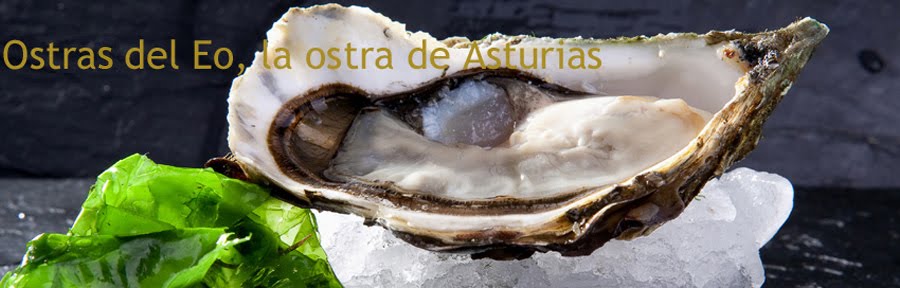 Ostra del Eo, la ostra de Asturias