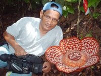 Rafflesia/ Pakma