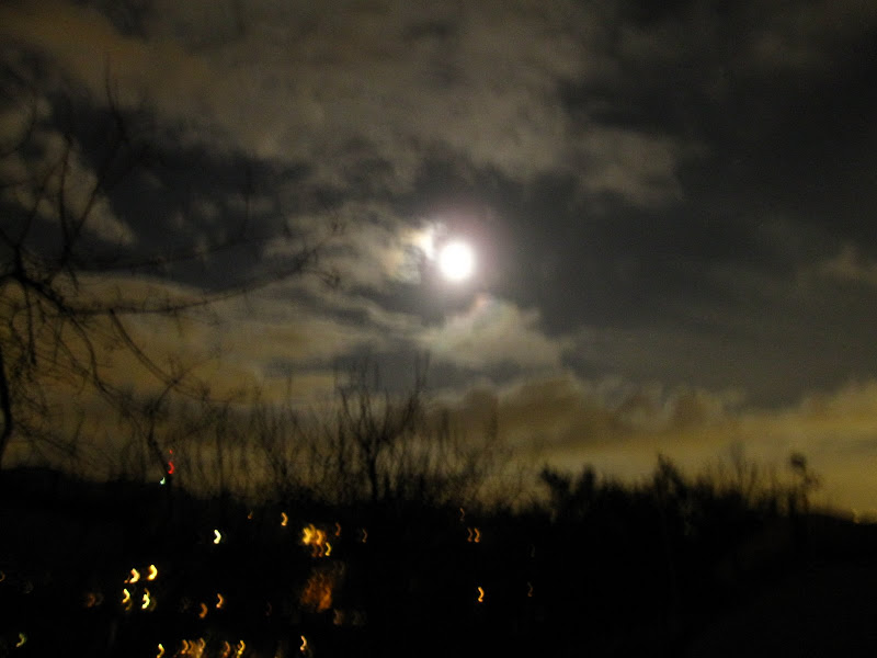 Photo of night sky and near full moon taken in the Hollywood Hills