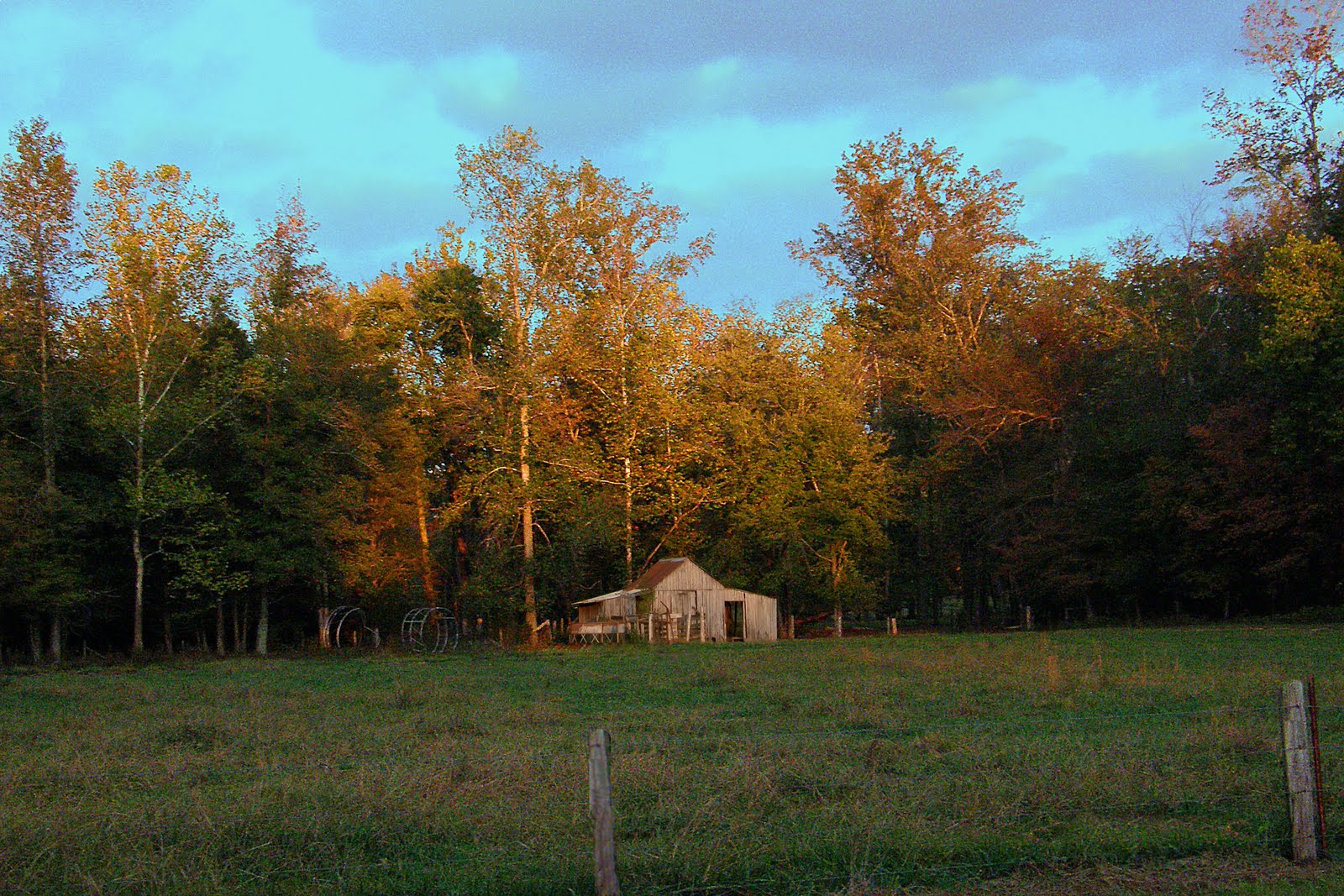 My World Pictures from Nathan Bedford Forrest