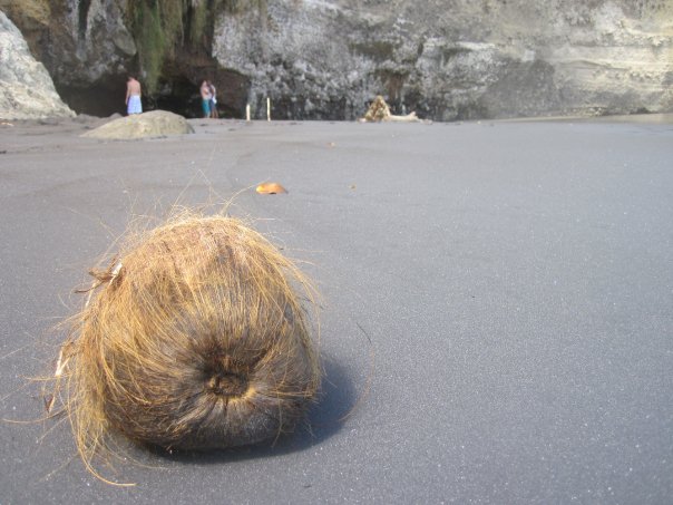 [21549_1352421650137_1219284468_31089060_627871_n[1].jpg]