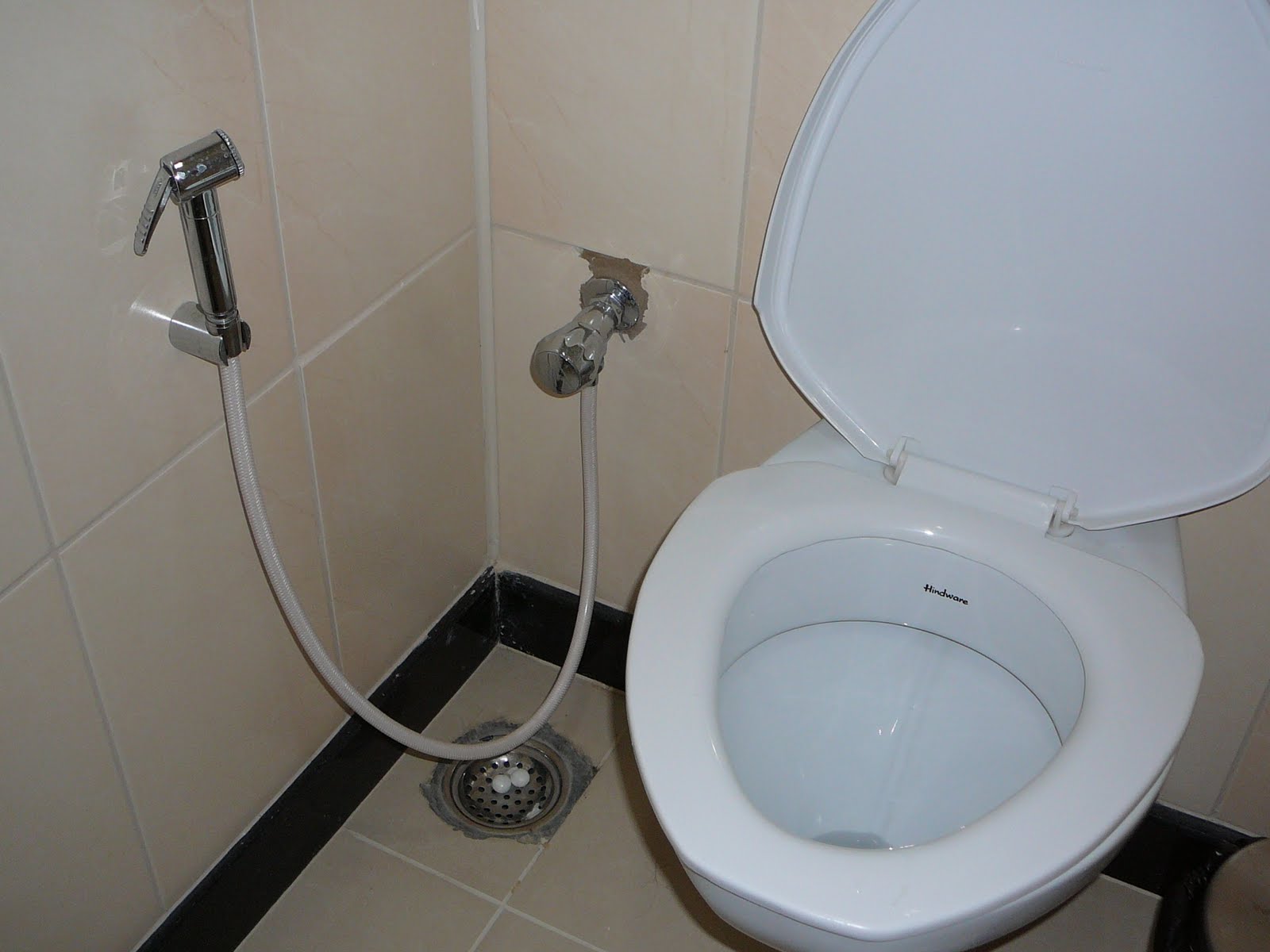 Nina's Trip to India Toilet Mysteries