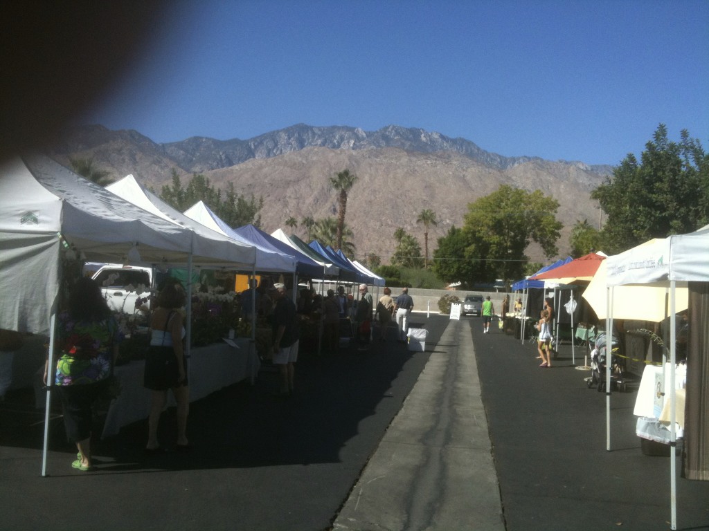 Russell Hill, Palm Springs Area Real Estate Palm Springs Real Estate