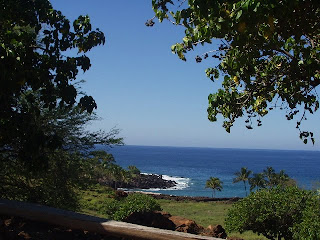 Lapakai State Park on way to Hawai in North Kohala