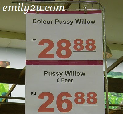 Long, Colourful Pussy