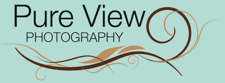 Pure View Photography