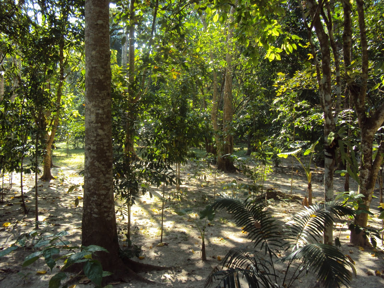 [DSC00183.JPG]
