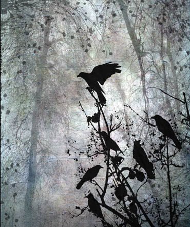 [crows.jpg]
