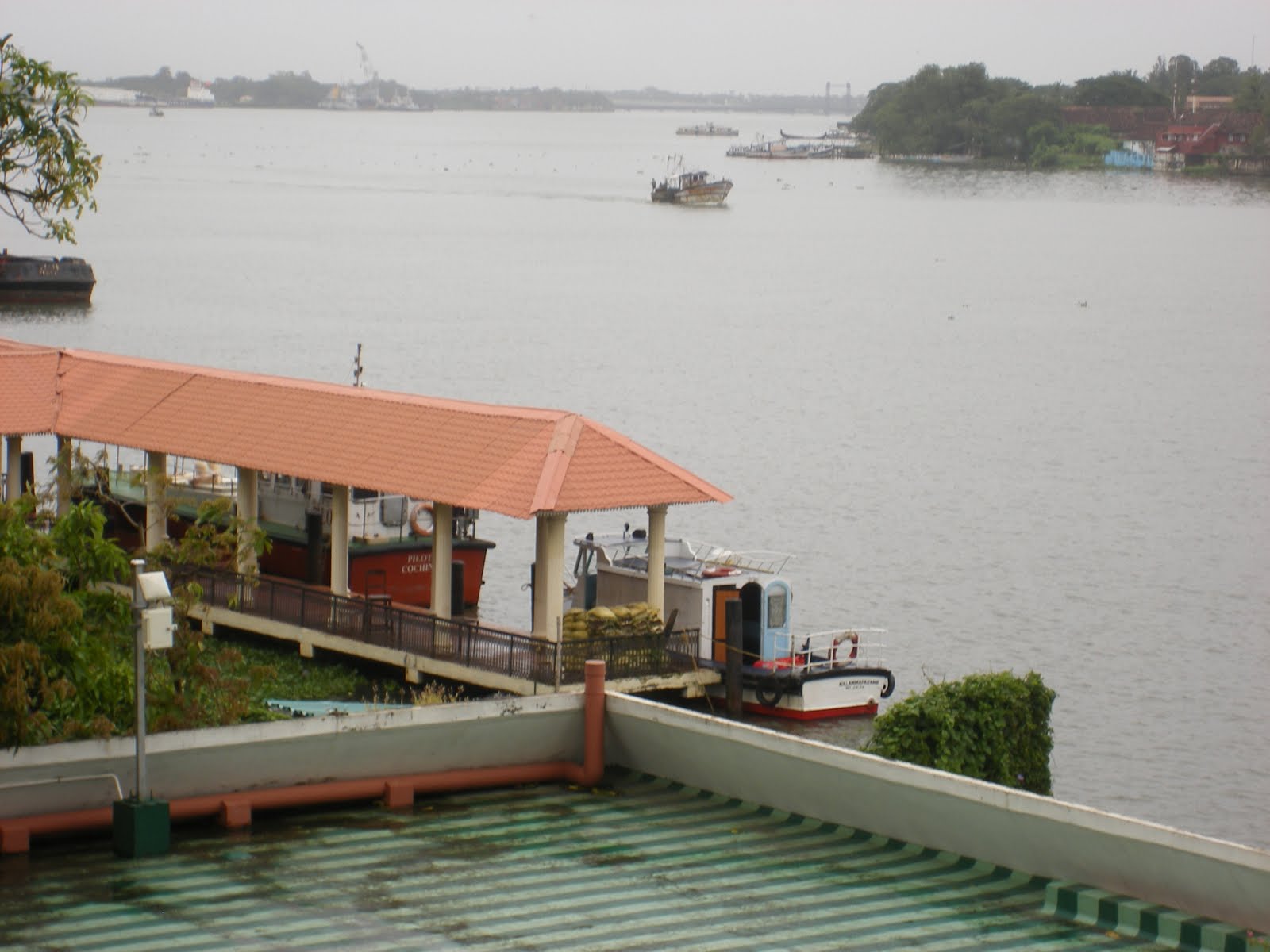[kochi-1.JPG]