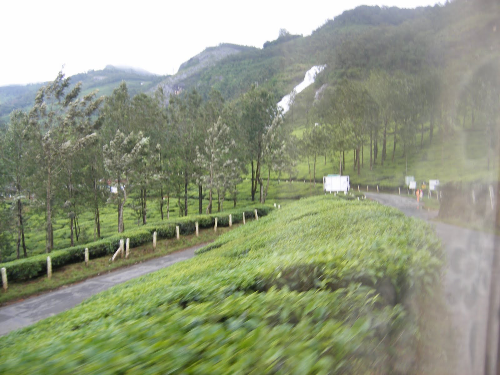 [Munnar-7.JPG]